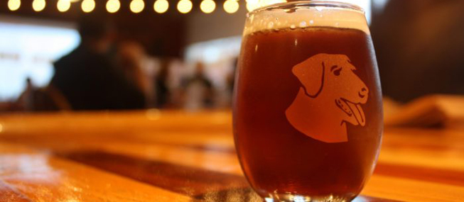 lucky labrador brew pub